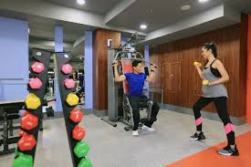 Nutrition Tracking & Meal Planning dengan MuscleXpert